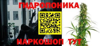 ГАЛЛЮЦИНОГЕННЫЕ ГРИБЫ Будённовск